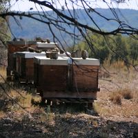 Photo de france - La randonnée de l'ancien refuge sur la colline